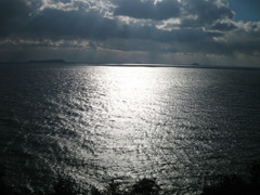 IMG_2846_w800pix