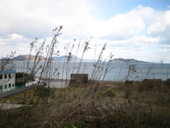 IMG_2659_w800pix