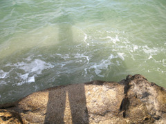 IMG_2756_w800pix