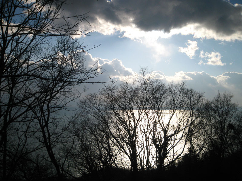 IMG_2908_w800pix