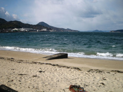 IMG_2598_w800pix