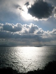 IMG_2850_w800pix