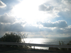 IMG_2835_w800pix