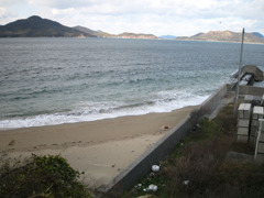 IMG_2704_w800pix