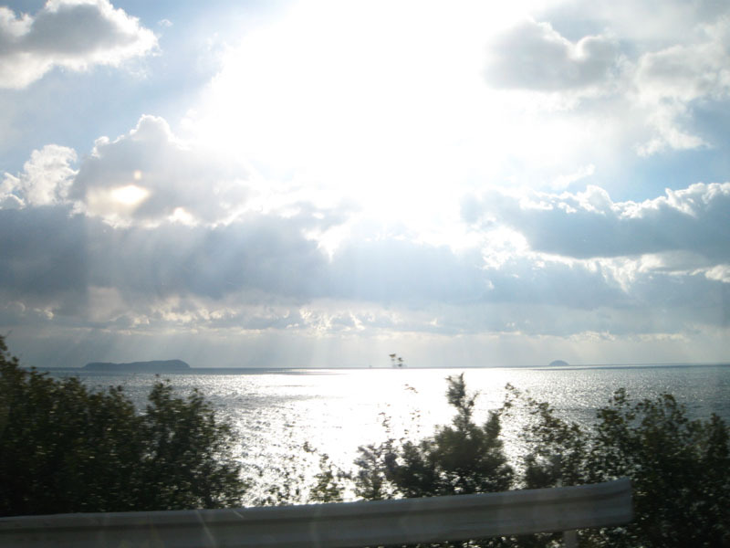 IMG_2834_w800pix