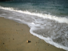 IMG_2744_w800pix