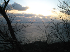 IMG_3007_w800pix