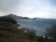 IMG_2773_w800pix