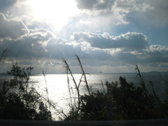IMG_2840_w800pix