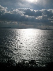 IMG_2847_w800pix