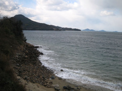 IMG_2708_w800pix