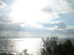 IMG_2830_w800pix