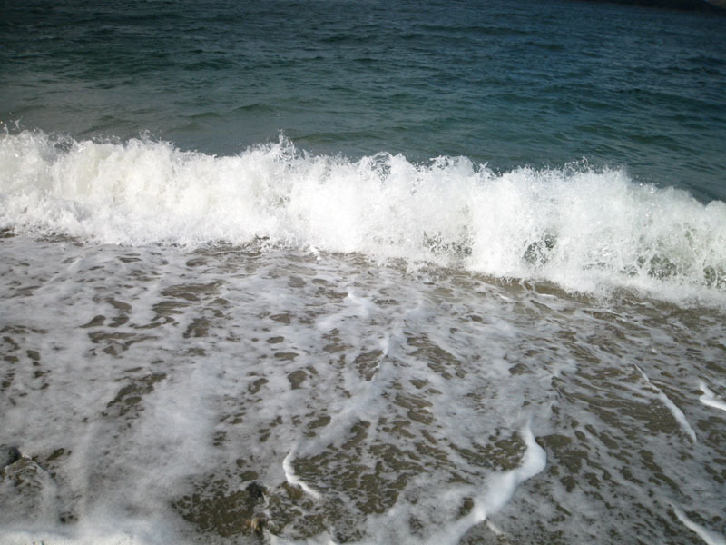 IMG_2740_w800pix