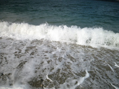 IMG_2740_w800pix