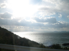 IMG_2823_w800pix
