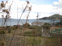 IMG_2662_w800pix