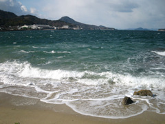 IMG_2589_w800pix