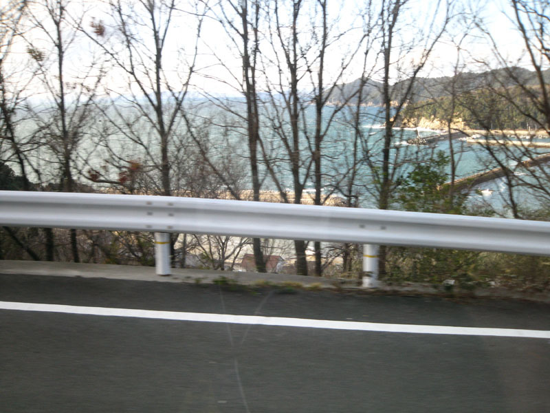 IMG_2797_w800pix