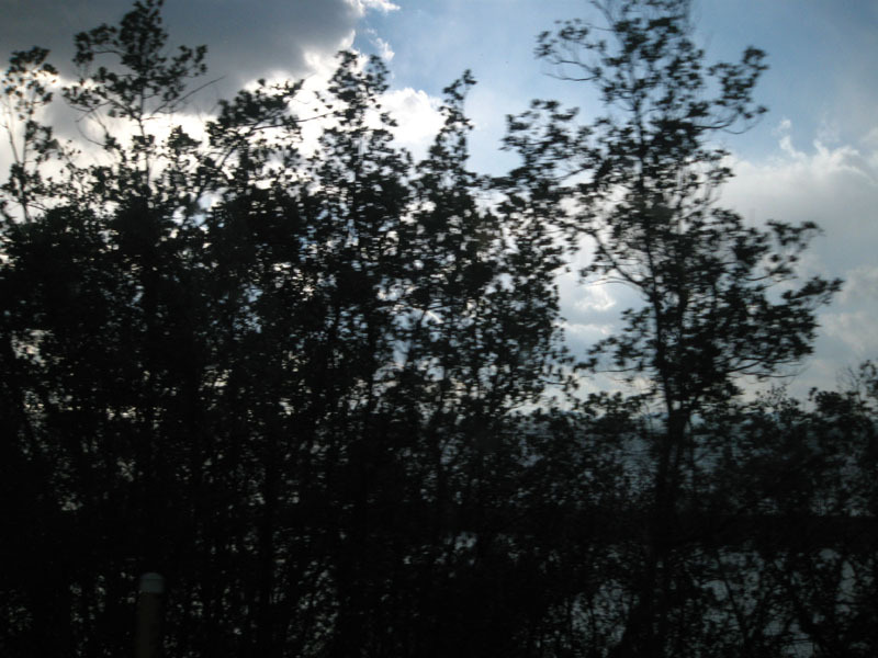 IMG_2793_w800pix