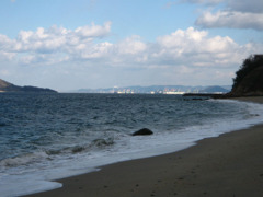 IMG_2763_w800pix