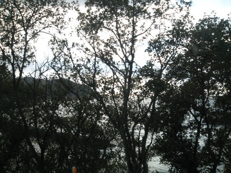 IMG_2794_w800pix