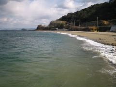IMG_2755_w800pix