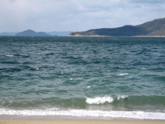 IMG_2595_w800pix