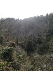 IMG_2865_w800pix