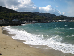 IMG_2590_w800pix