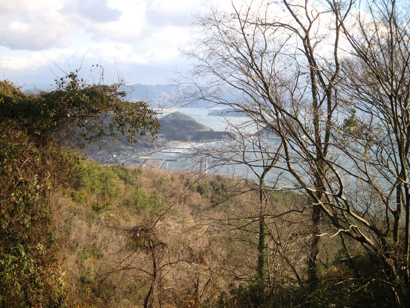 IMG_2892_w800pix