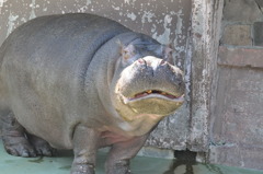 何か？