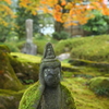 思いにふける秋