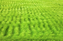 風の通り道