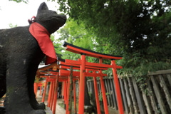 稲荷の番人