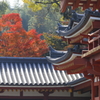 平等院1