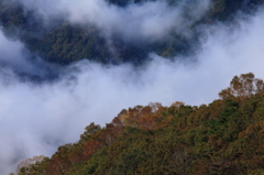 雲流れる谷