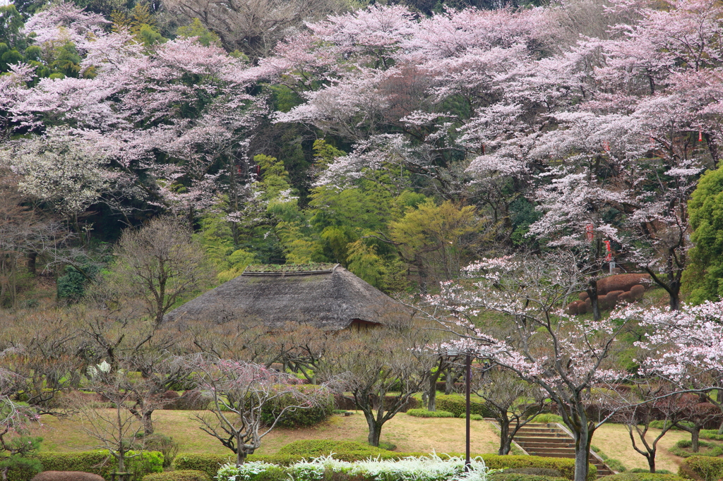 春景