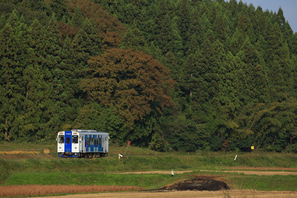山里の季節