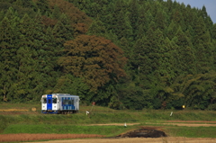 山里の季節