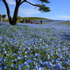 陽が注ぐ丘