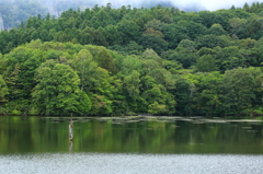 静寂の水面