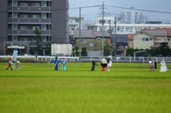 畑でダンス