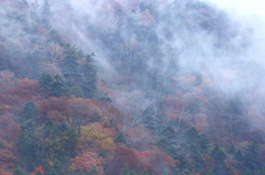 山の気