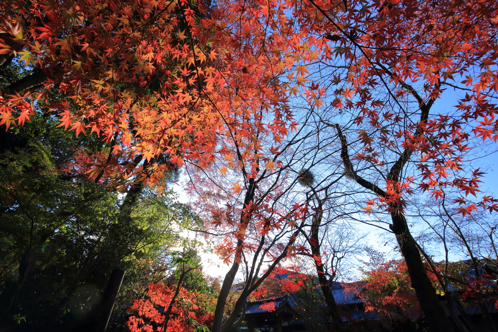 平林寺2