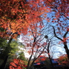 平林寺2