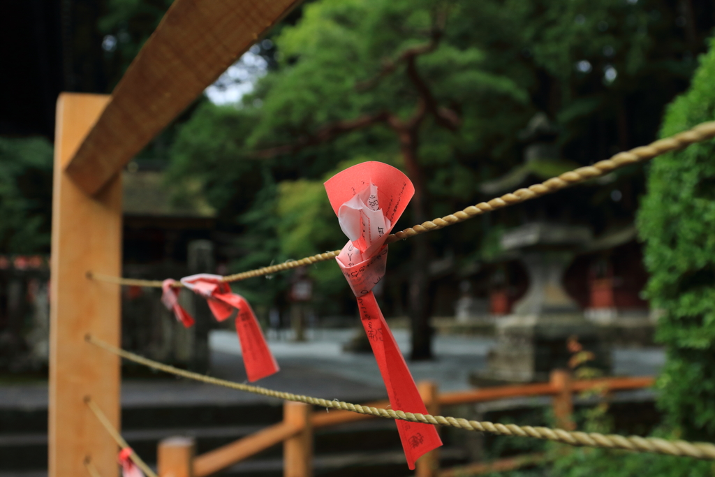 願う