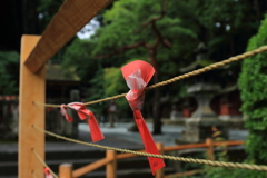 願う