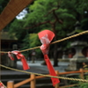 願う