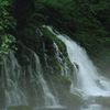 山の営み