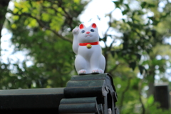 何を招く？
